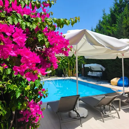 Begonvilla Fethiye-goecek Мугла