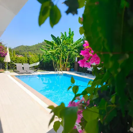 Begonvilla Fethiye-goecek